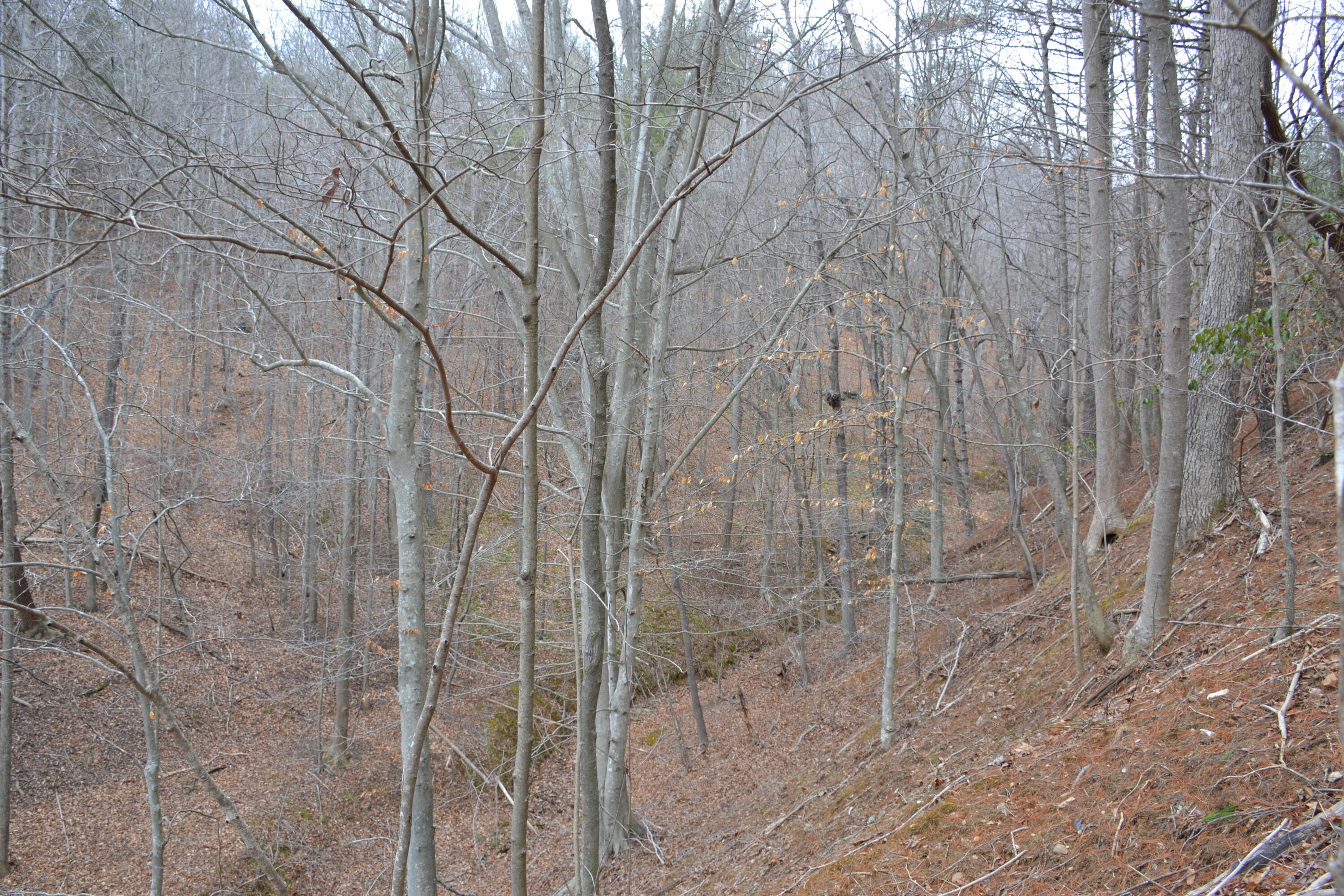 0 Carson Drive Ferrum, VA 24088 - Photo 49 of 60 a close up of a shower