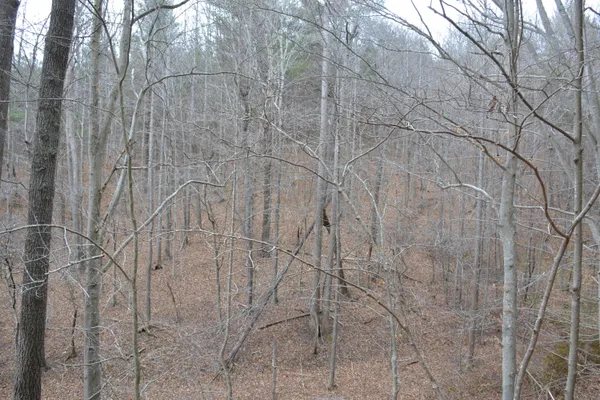 $149,000 | 0 Carson Drive, Ferrum, VA 24088