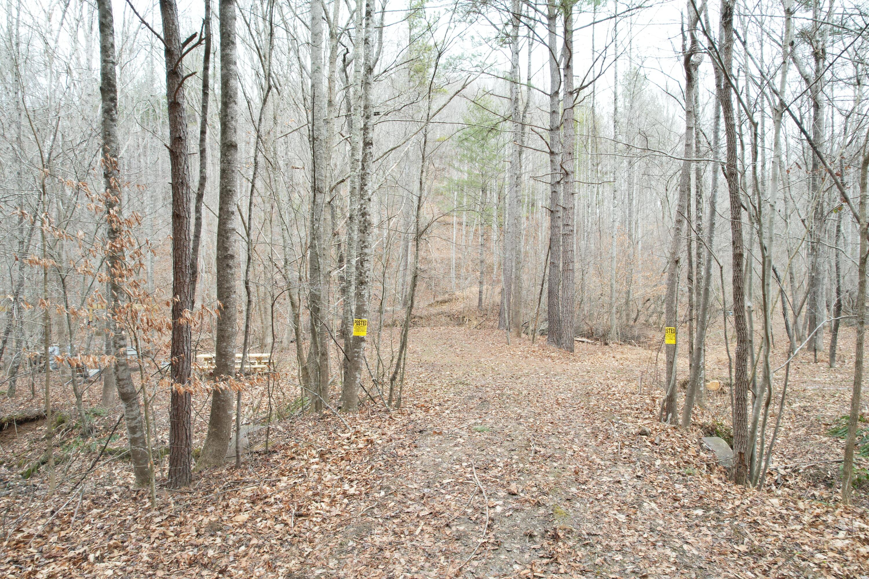 0 Carson Drive Ferrum, VA 24088 - Photo 6 of 60 DJI_0400