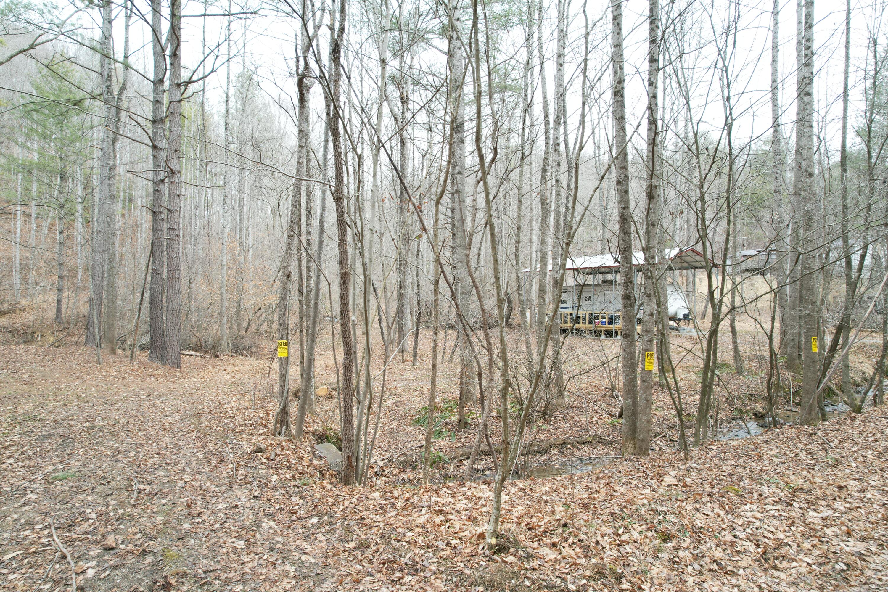 0 Carson Drive Ferrum, VA 24088 - Photo 7 of 60 a view of a backyard