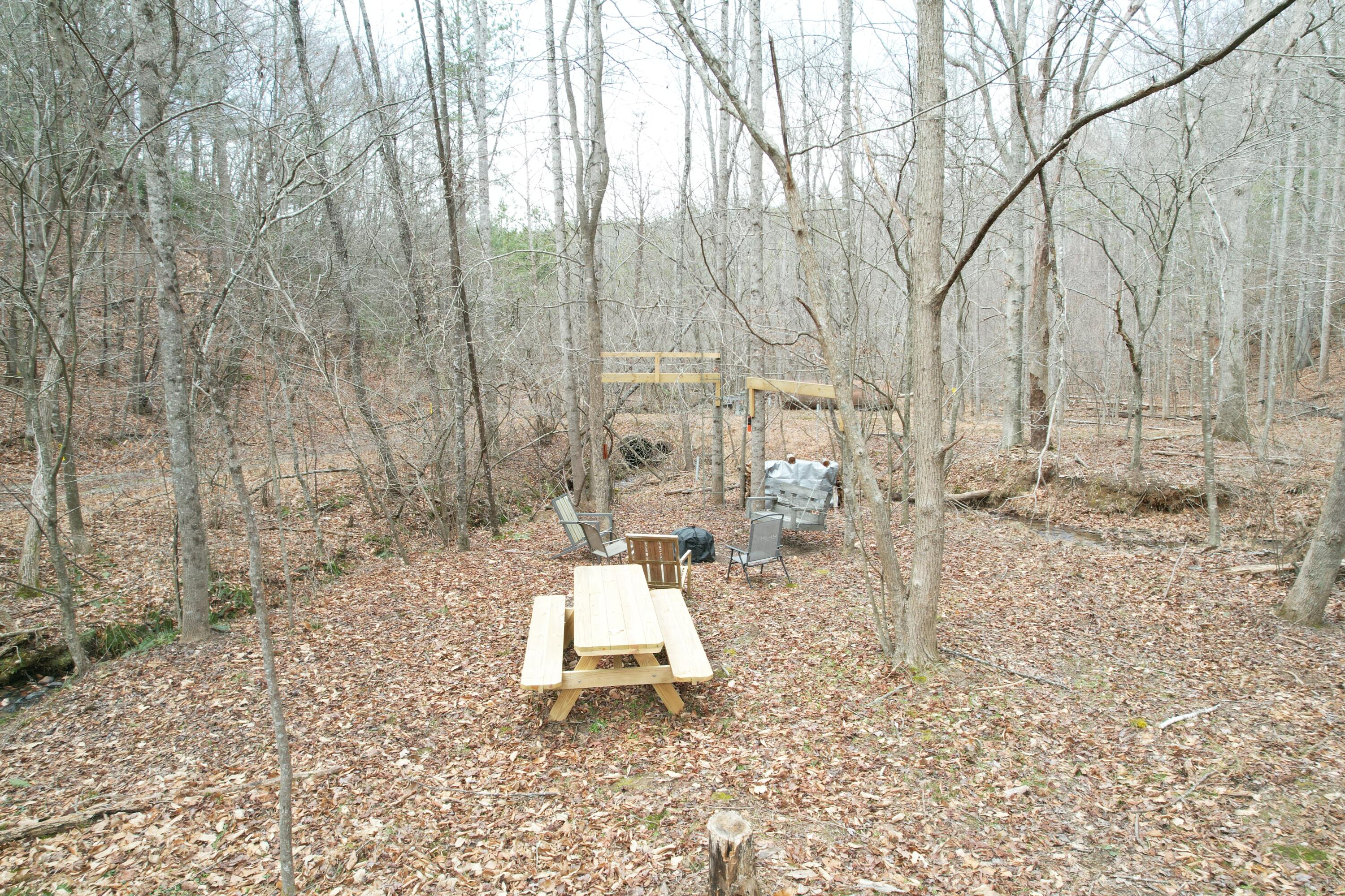 0 Carson Drive Ferrum, VA 24088 - Photo 8 of 60 a view of a yard with plants and trees