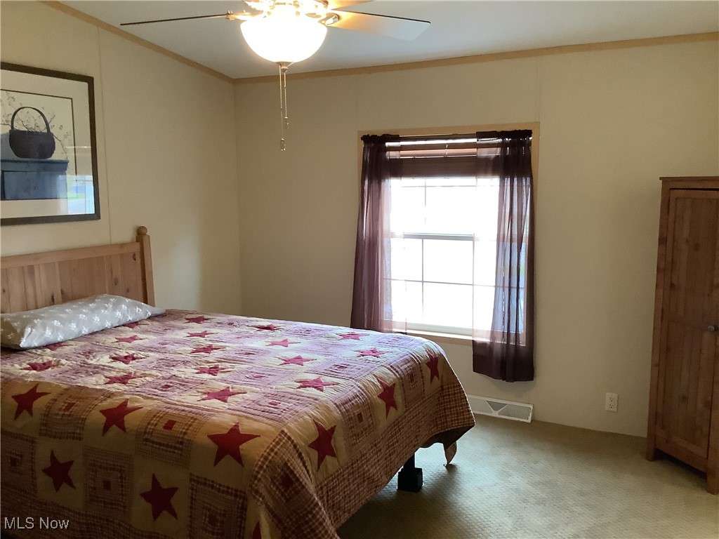 8927 Columbus Road Mount Vernon, OH 43050 - Photo 19 of 35 Primary bedroom with ceiling fan.