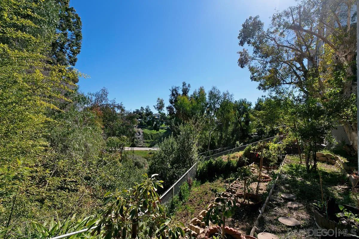 3919 Pringle Street San Diego, CA 92103 - Photo 33 of 37 a view of a house with a lush green forest