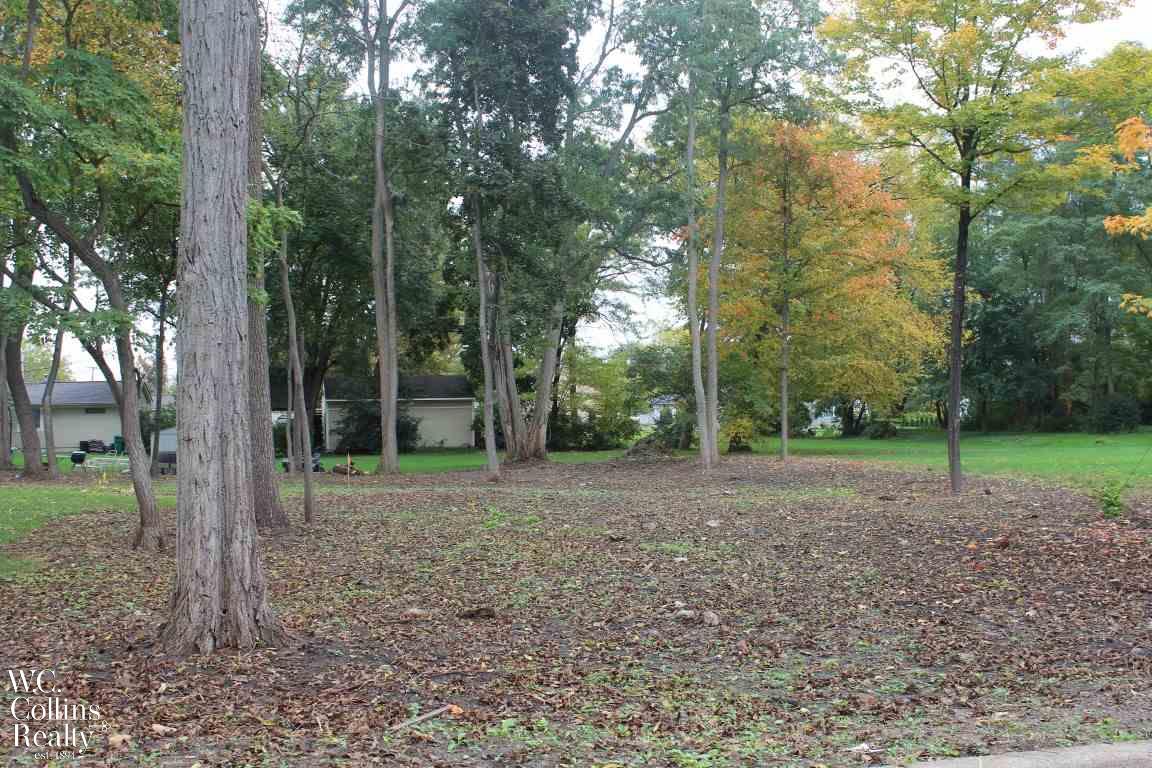 0 Dickenson Street Romeo, MI 48065 - Photo 5 of 6