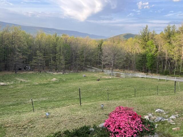 384 Easy Slope Lane New Castle, VA 24127 - Photo 20 of 21 image0