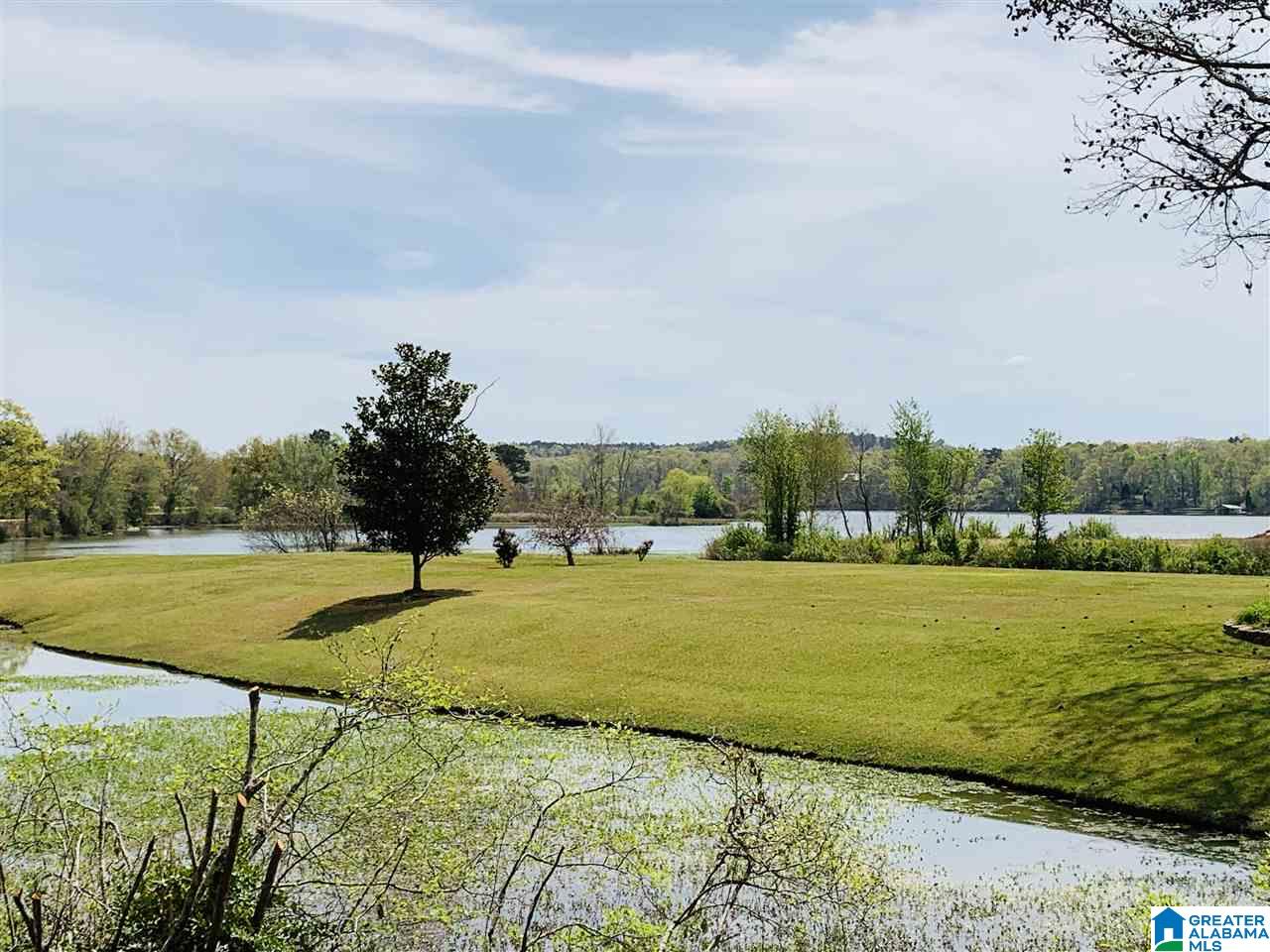 0 Carleton Point, Unit 10 Wilsonville, AL 35186 - Photo 1 of 14