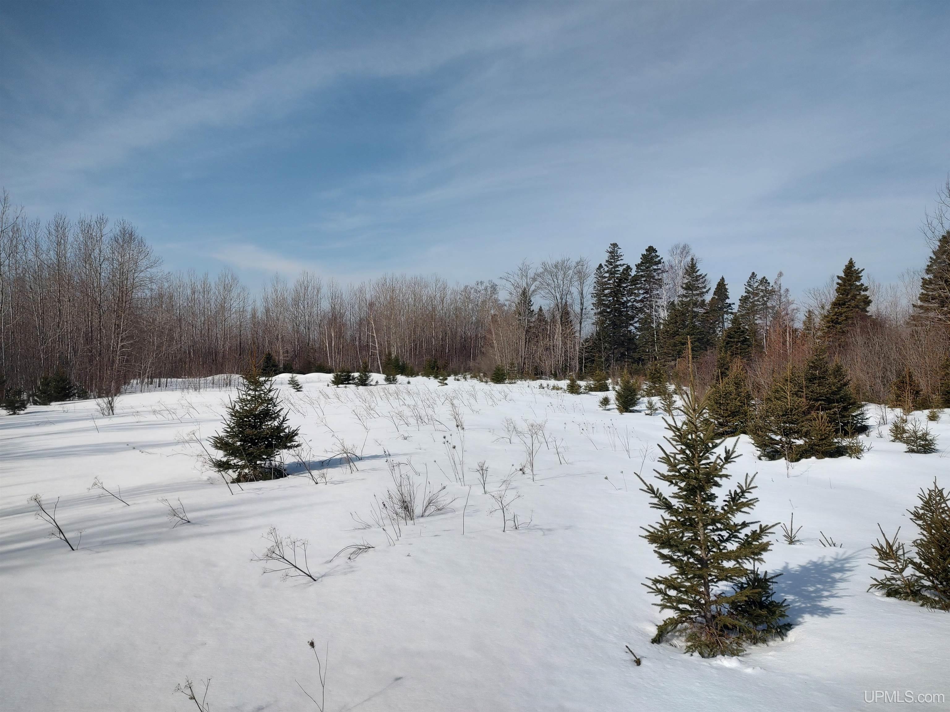 30-acres Parkington Road Gulliver, MI 49840 - Photo 17 of 31
