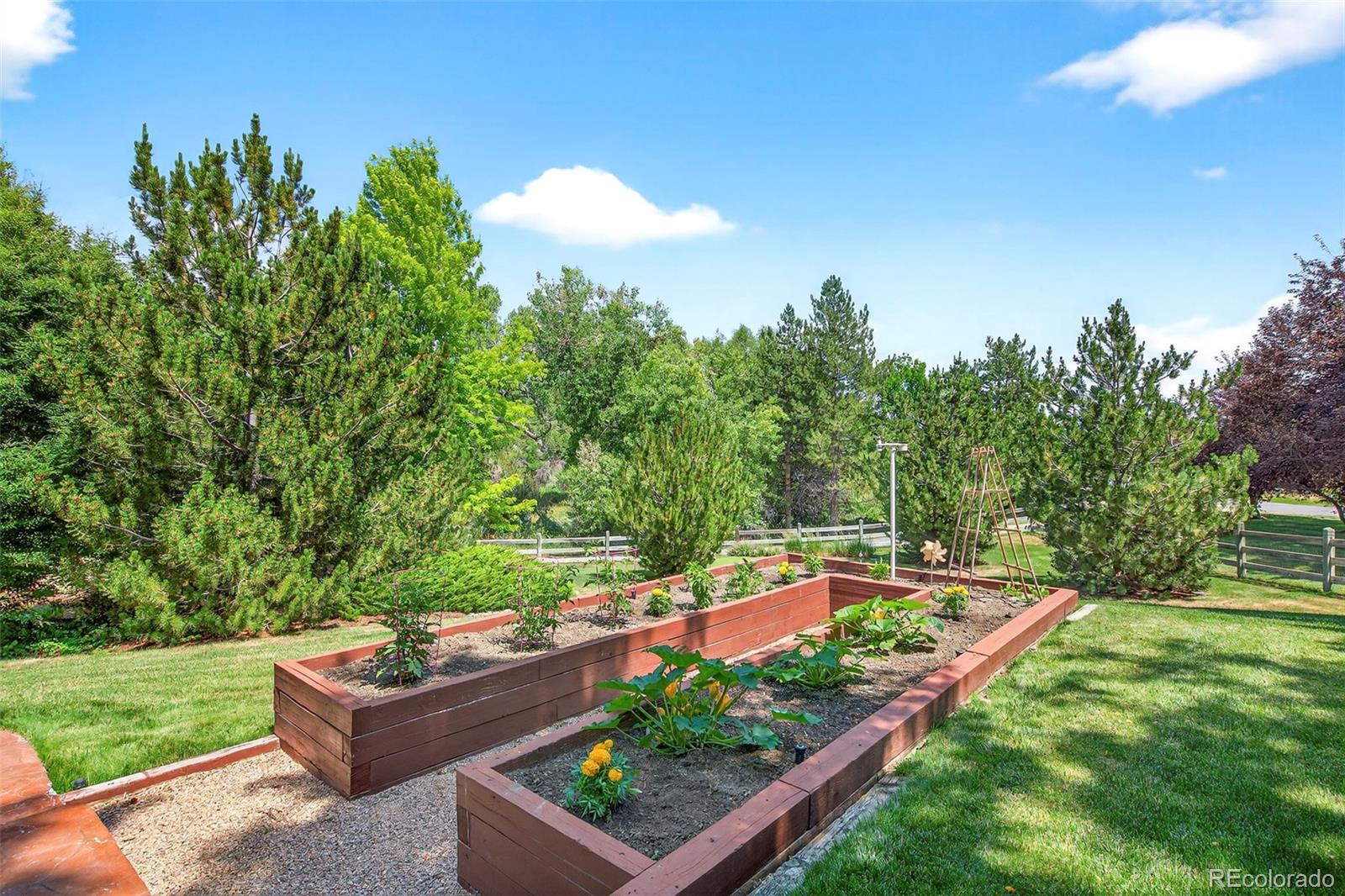 8478 Haystack Court Niwot, CO 80503 - Photo 48 of 50