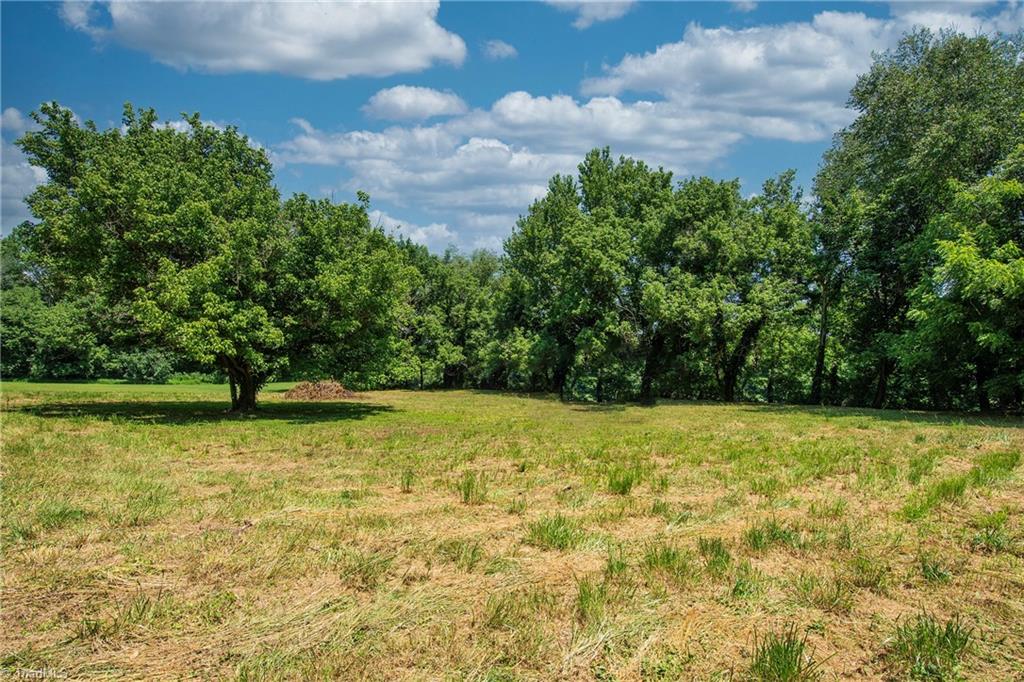 241 River Road Advance, NC 27006 - Photo 7 of 32 lower lot
