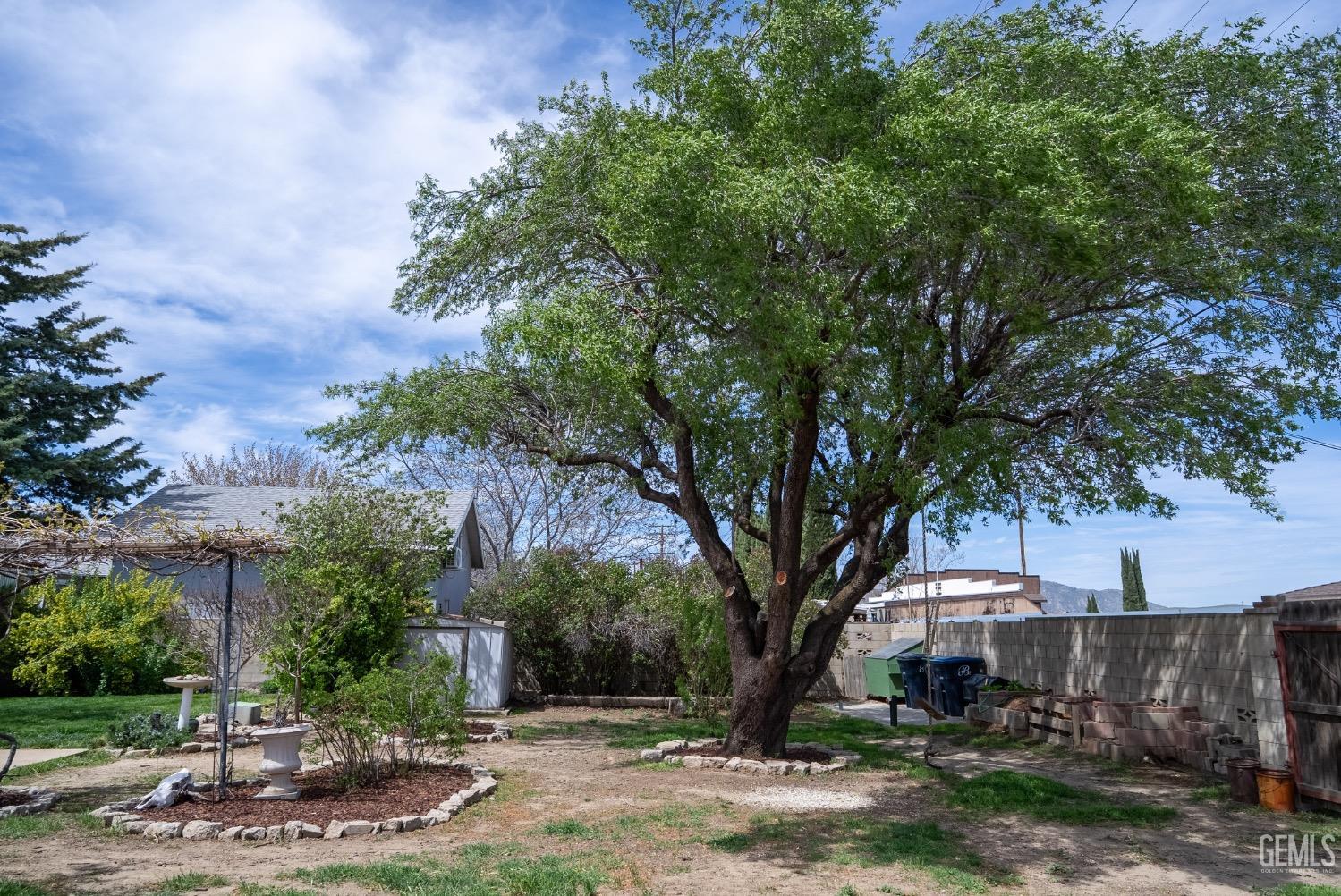 Undisclosed Address Tehachapi, CA 93561 - Photo 35 of 46 a tree in a backyard of a house