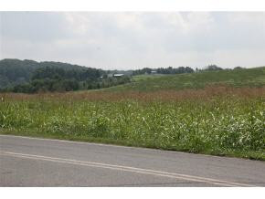 Lot 4 Jarrett Road, Unit 4 Limestone, TN 37681 - Photo 1 of 7 Photo 1