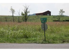 Lot 4 Jarrett Road, Unit 4 Limestone, TN 37681 - Photo 5 of 7 Photo 5