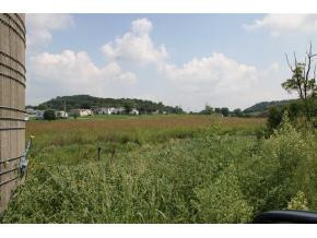 Lot 4 Jarrett Road, Unit 4 Limestone, TN 37681 - Photo 7 of 7 Photo 7