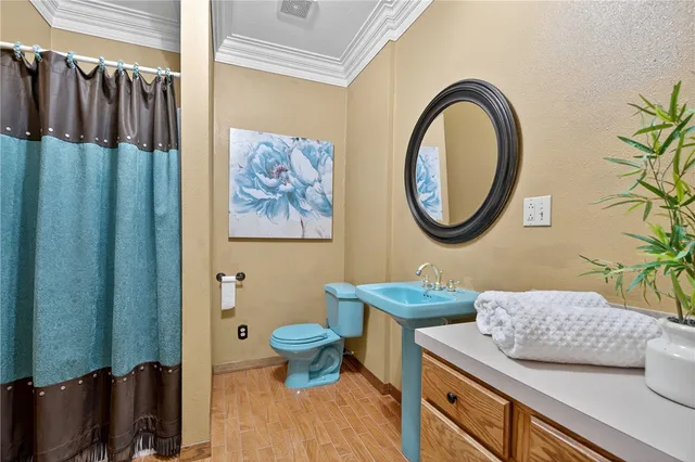 a view of a house with backyard and garage