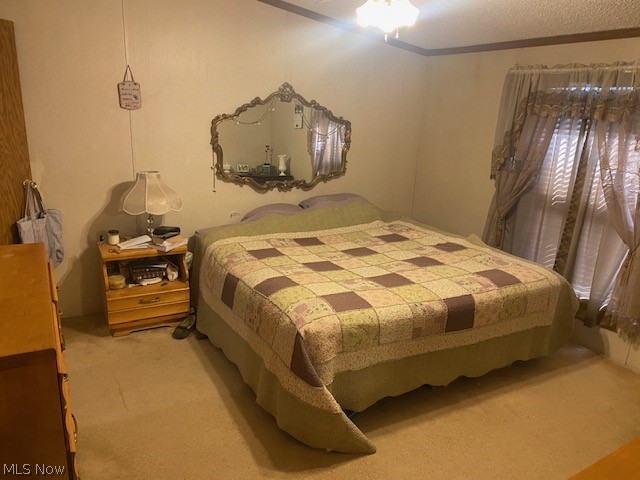4981 Hardy Ridge Road Northwest Dundee, OH 44624 - Photo 9 of 19 Gallery Image 9