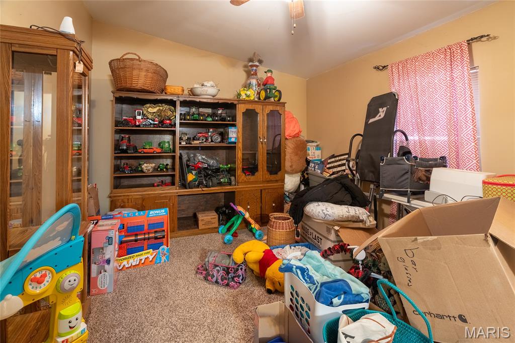 800 Old Broughton Road Eldorado, IL 62930 - Photo 62 of 97