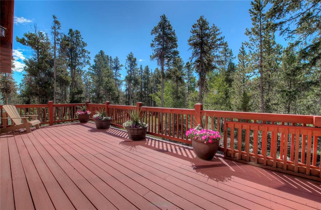 273 Wild Rye Road Fairplay, CO 80440 - Photo 24 of 35 Gallery Image 24