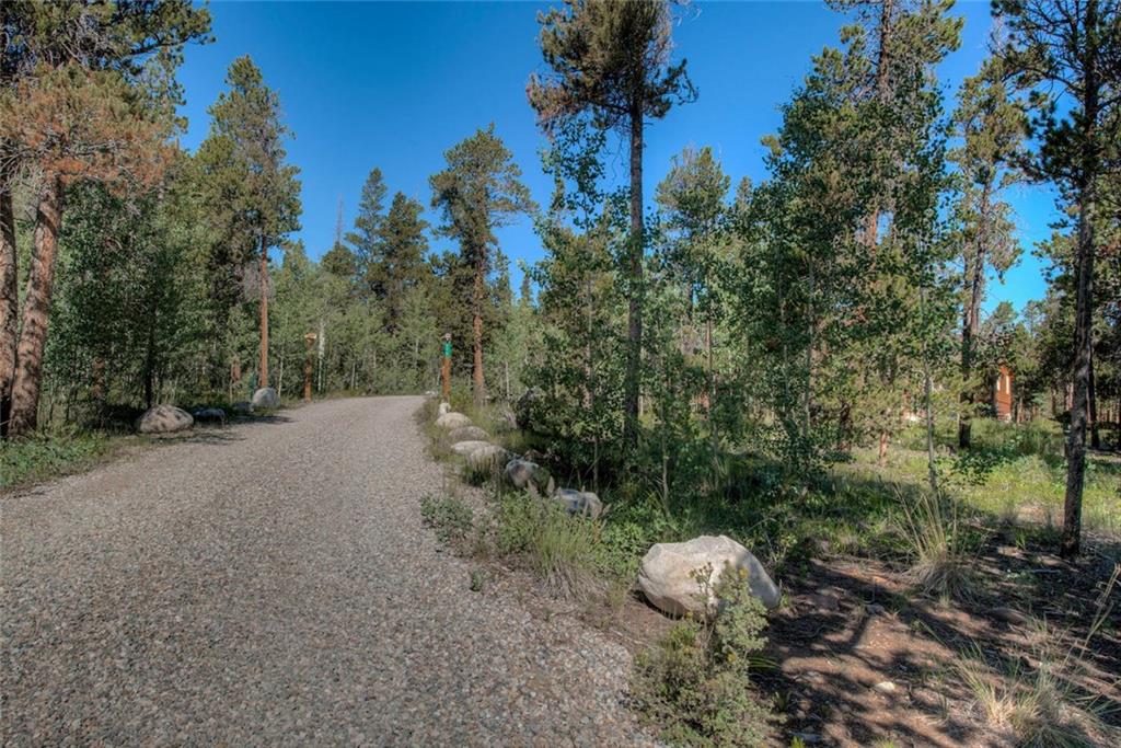 273 Wild Rye Road Fairplay, CO 80440 - Photo 33 of 35 Gallery Image 33