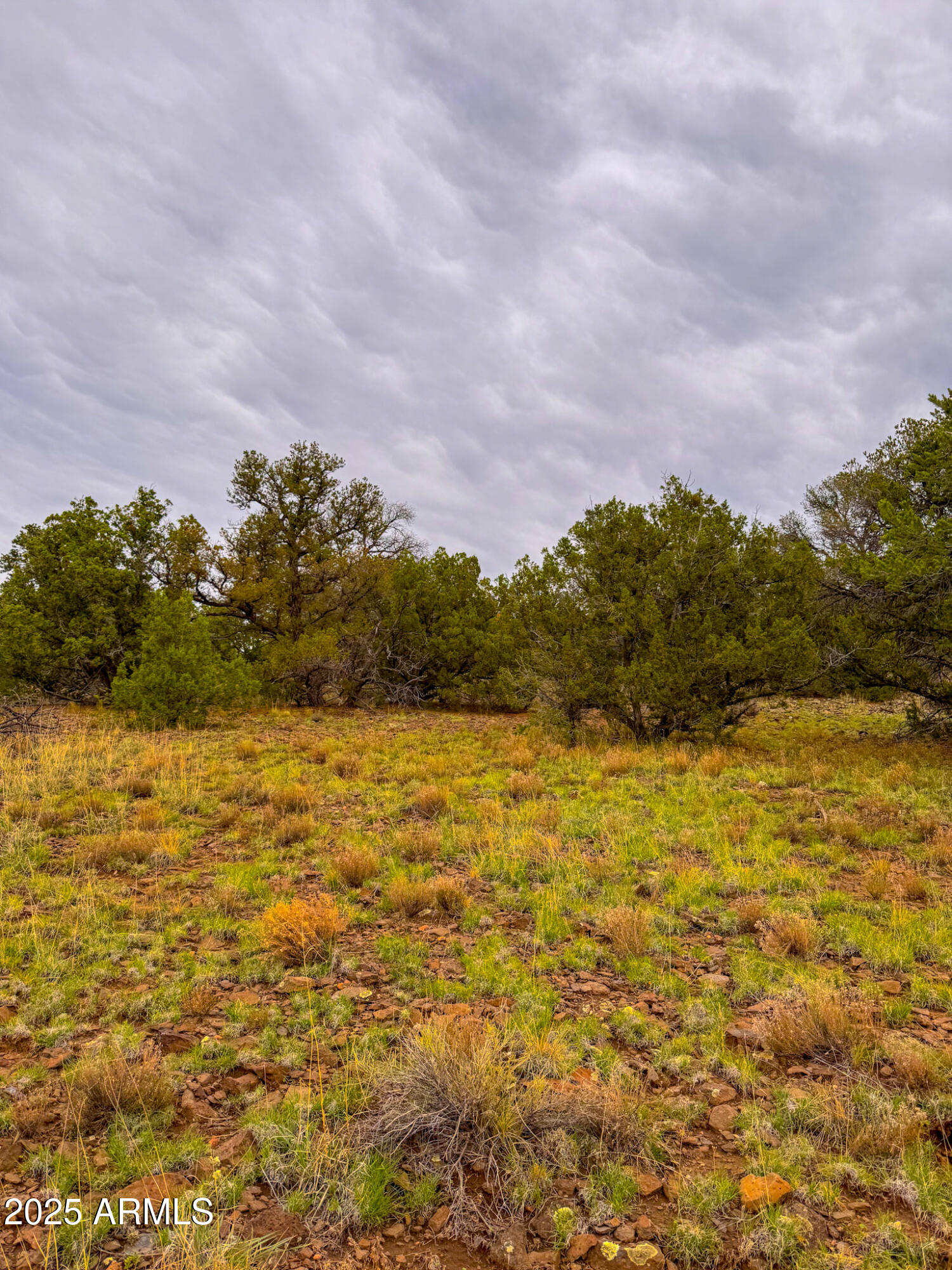 134 East Snowdrift Road, Unit 452 Williams, AZ 86046 - Photo 3 of 20 IMG_0170 (1)