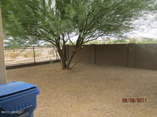 9119 West Berkeley Road Phoenix, AZ 85037 - Photo 7 of 8 back yard