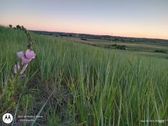 $299,000 | Tbd Whiteman Lane, Indian Valley, ID 83632