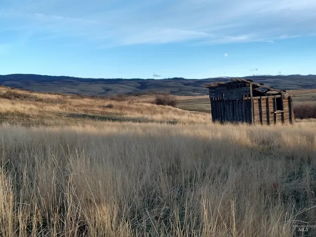 $299,000 | Tbd Whiteman Lane, Indian Valley, ID 83632