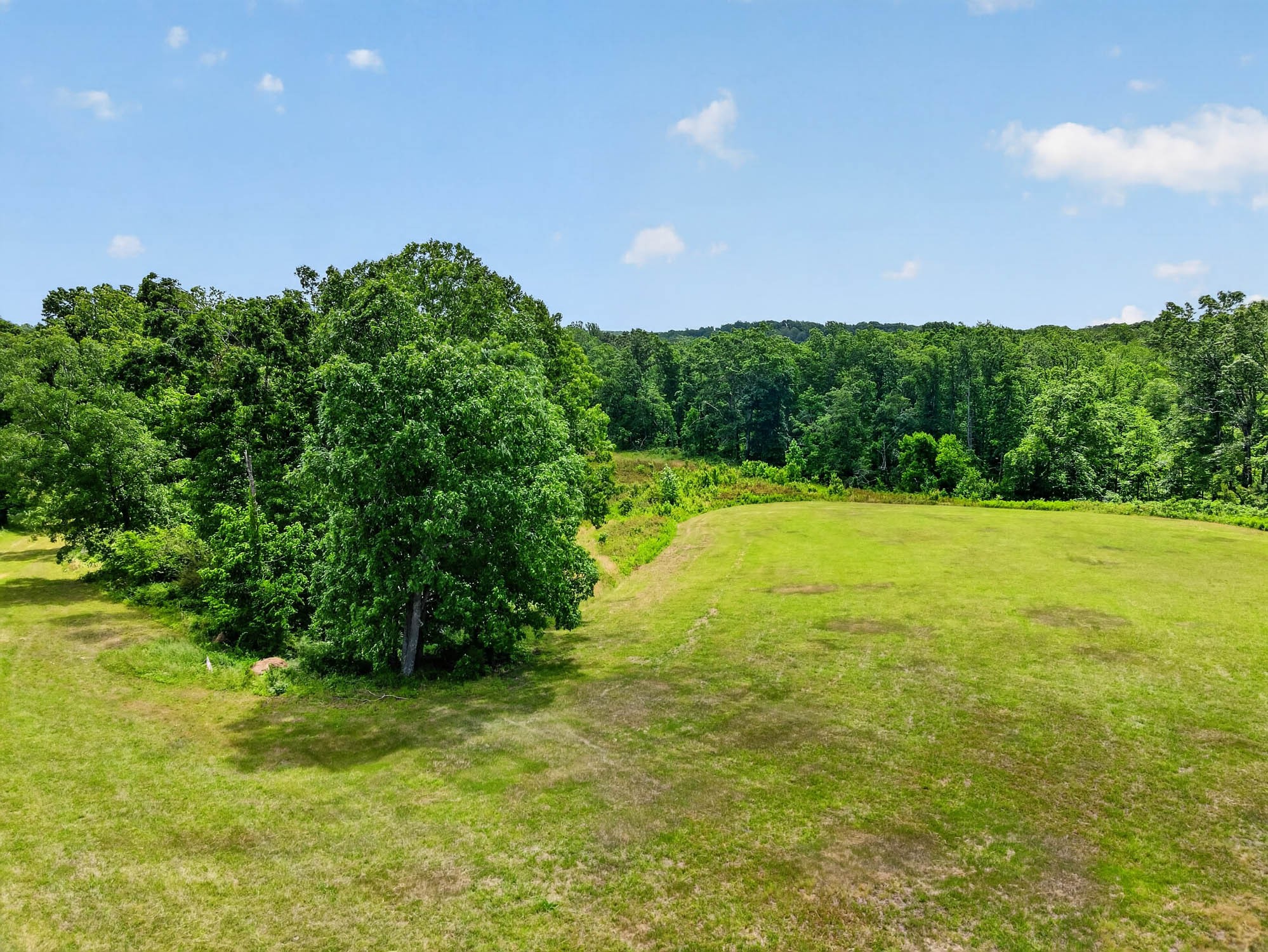 7393 South Harpeth Road Franklin, TN 37064 - Photo 11 of 27