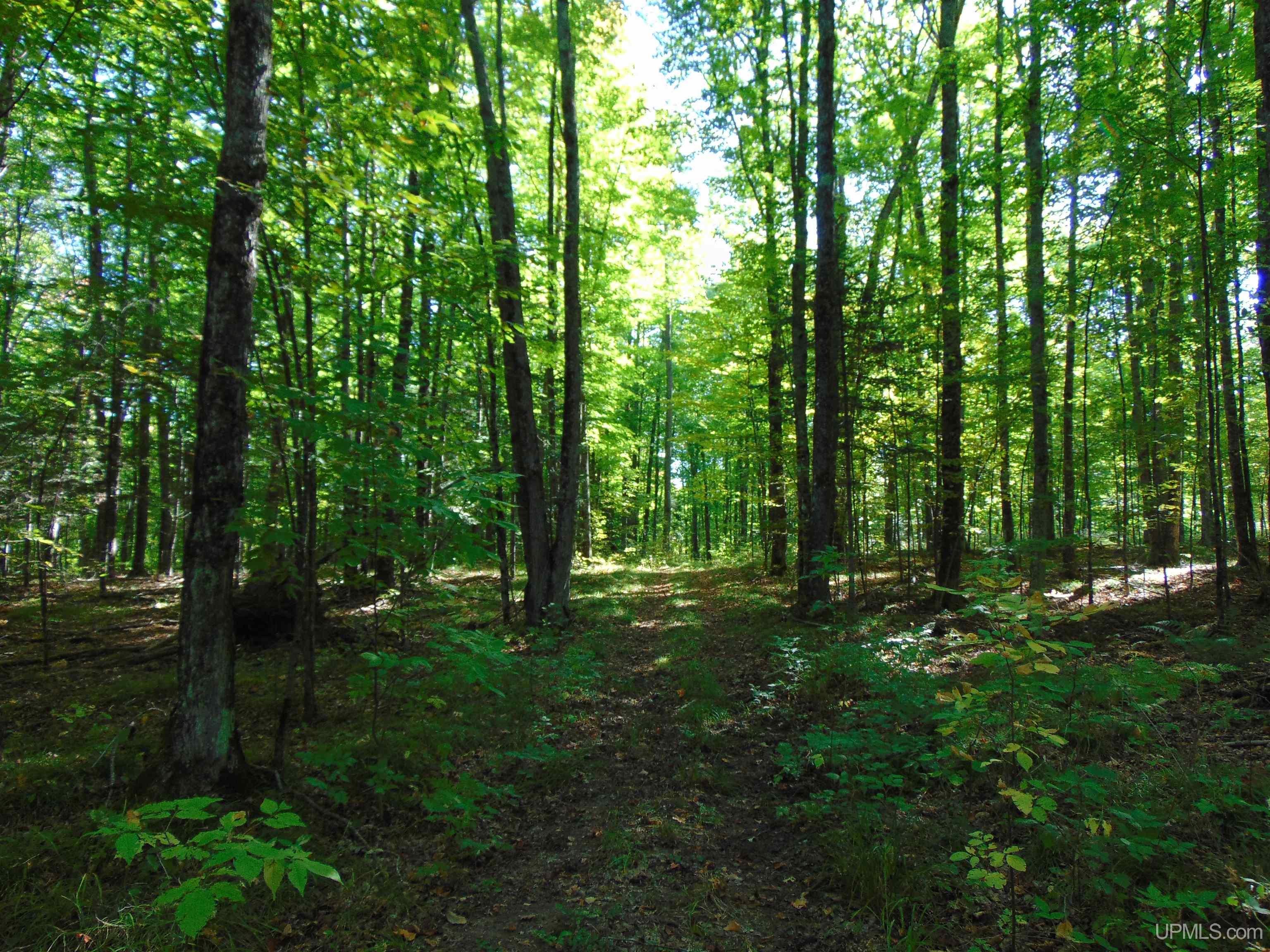 14571 Holombo Road Bruce Crossing, MI 49912 - Photo 22 of 30