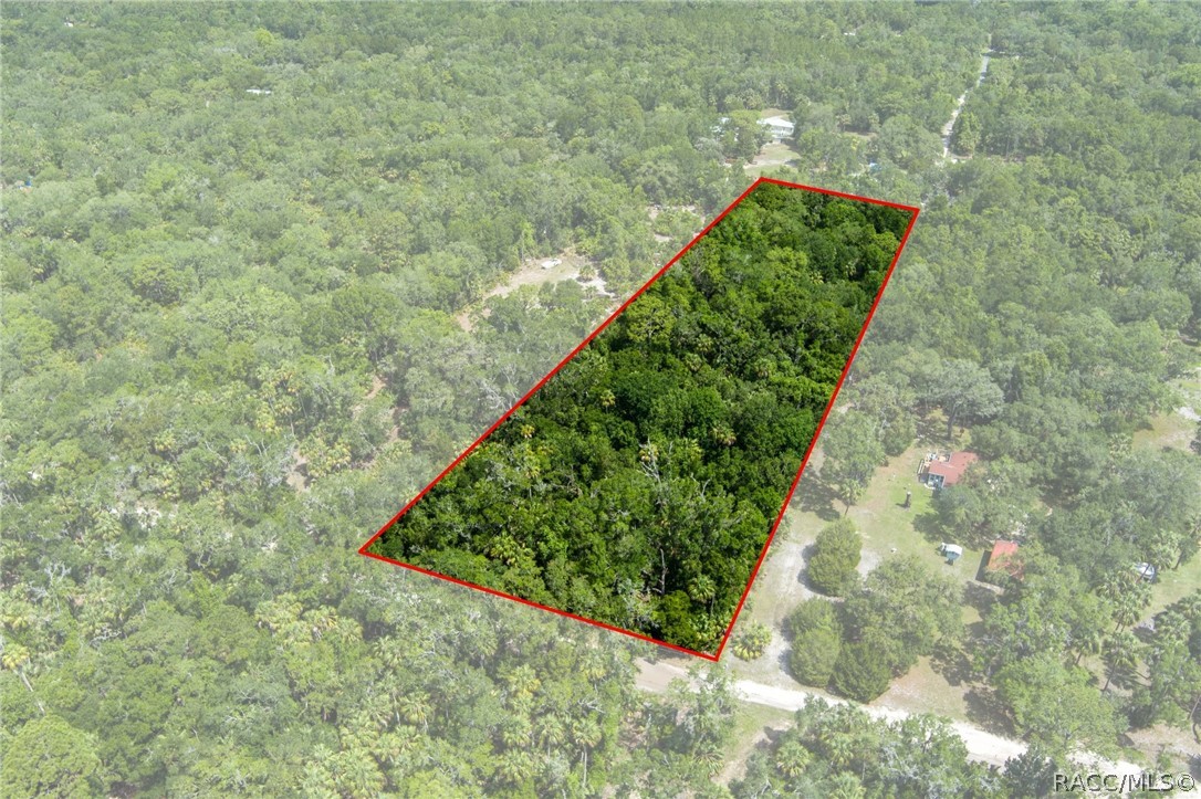 15085 West Rooster Crows Road Inglis, FL 34449 - Photo 1 of 16
