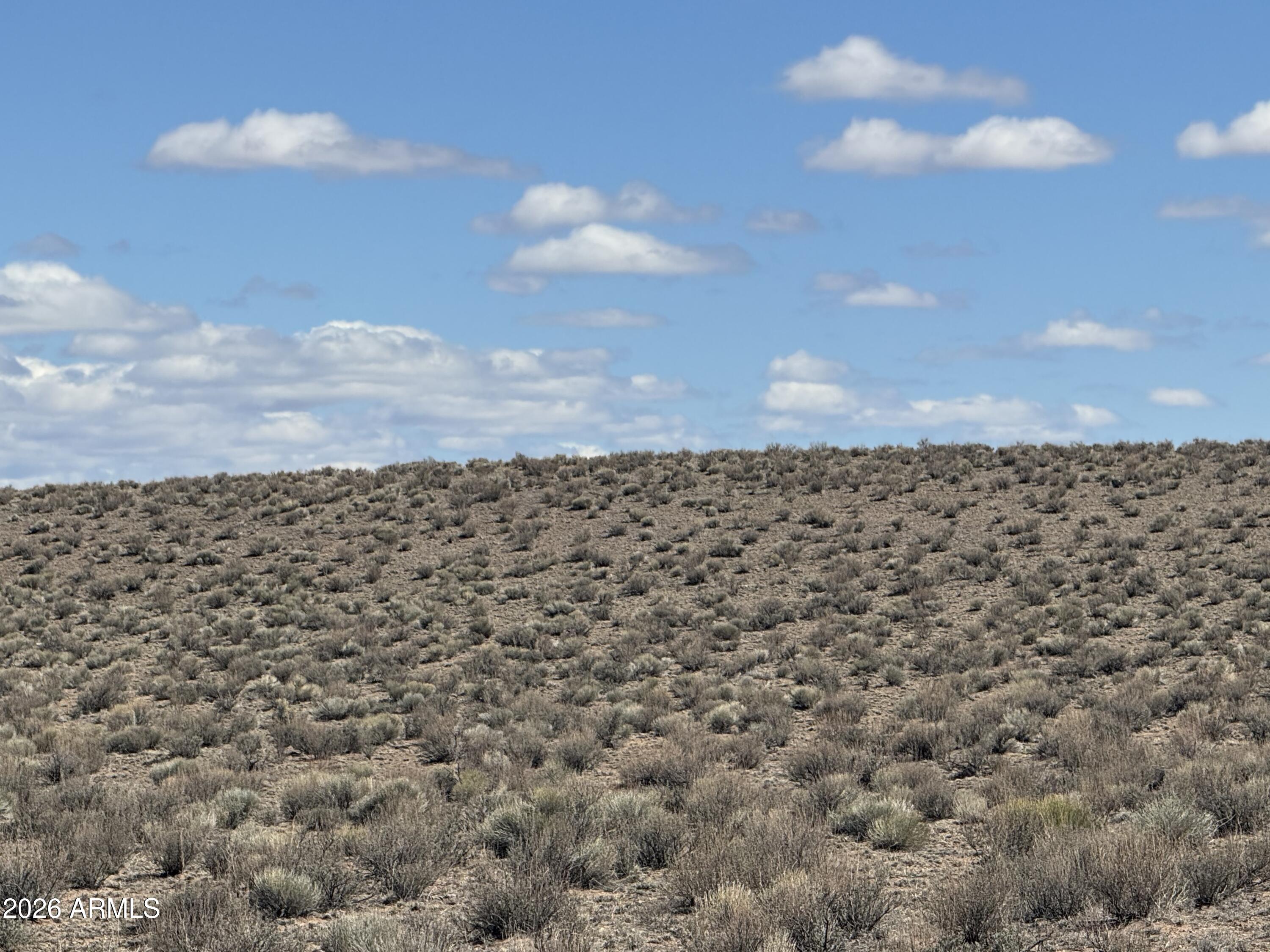Lot 352 Carrizo Ranch, Unit 352 St. Johns, AZ 85936 - Photo 11 of 13 a view of a beach