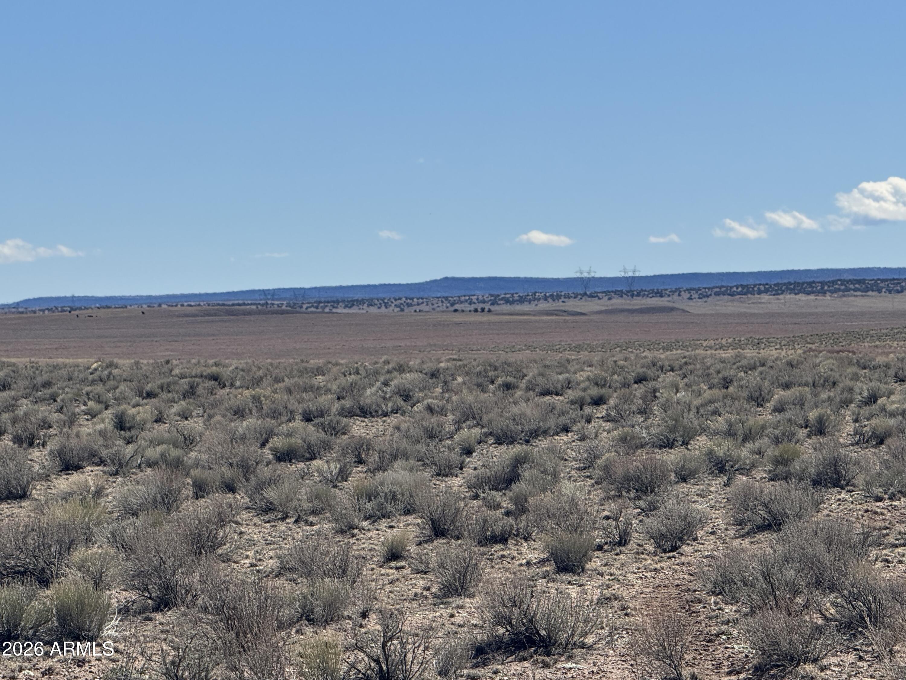 Lot 352 Carrizo Ranch, Unit 352 St. Johns, AZ 85936 - Photo 12 of 13 a view of a big yard