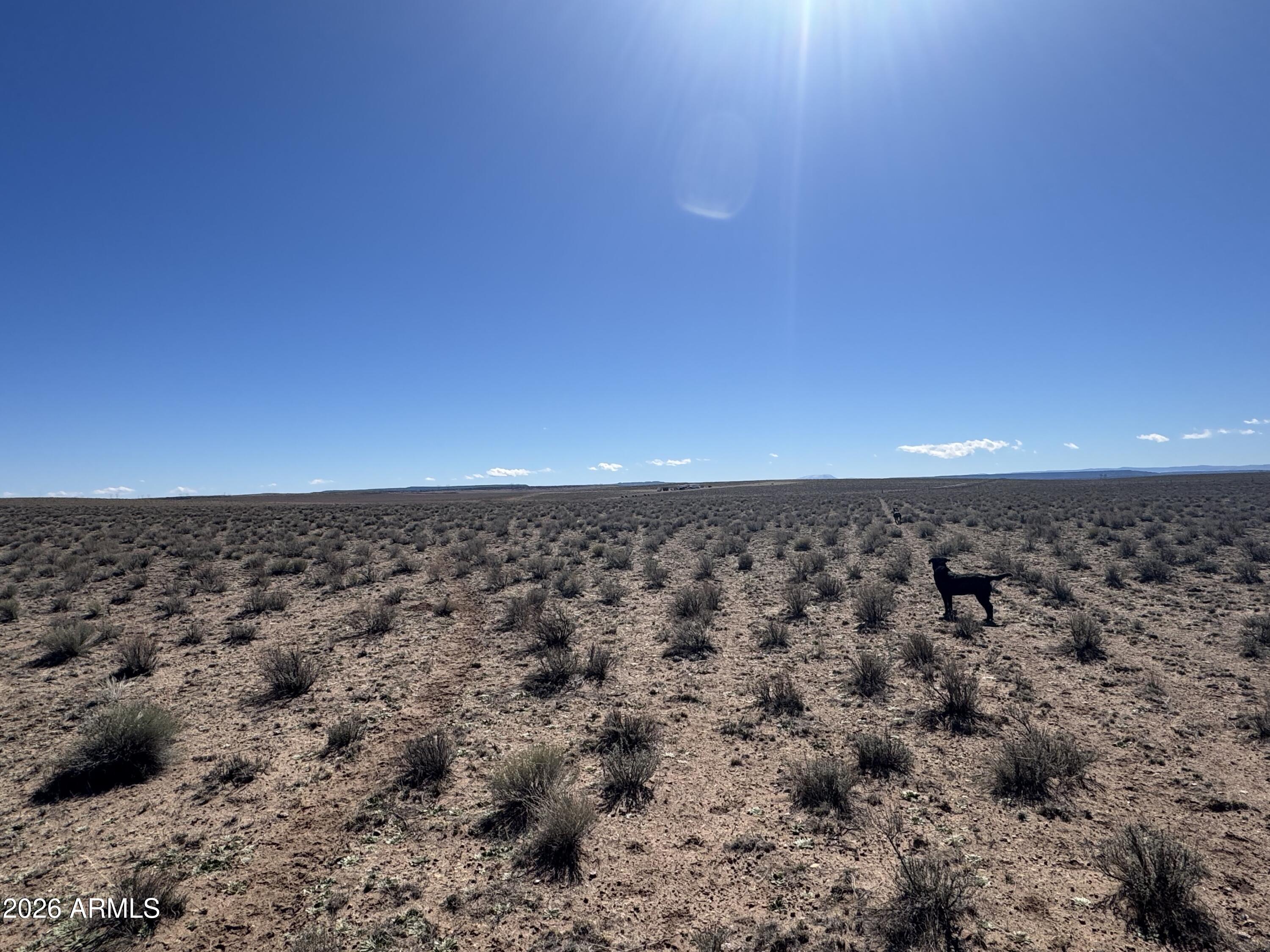 Lot 352 Carrizo Ranch, Unit 352 St. Johns, AZ 85936 - Photo 13 of 13 wooden view of a city