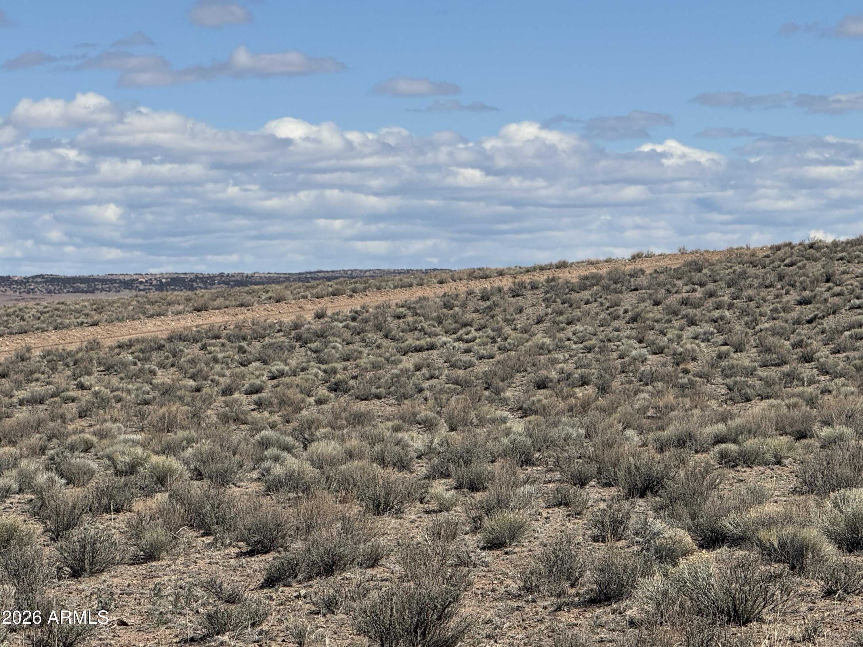 Lot 352 Carrizo Ranch, Unit 352 St. Johns, AZ 85936 - Photo 10 of 13