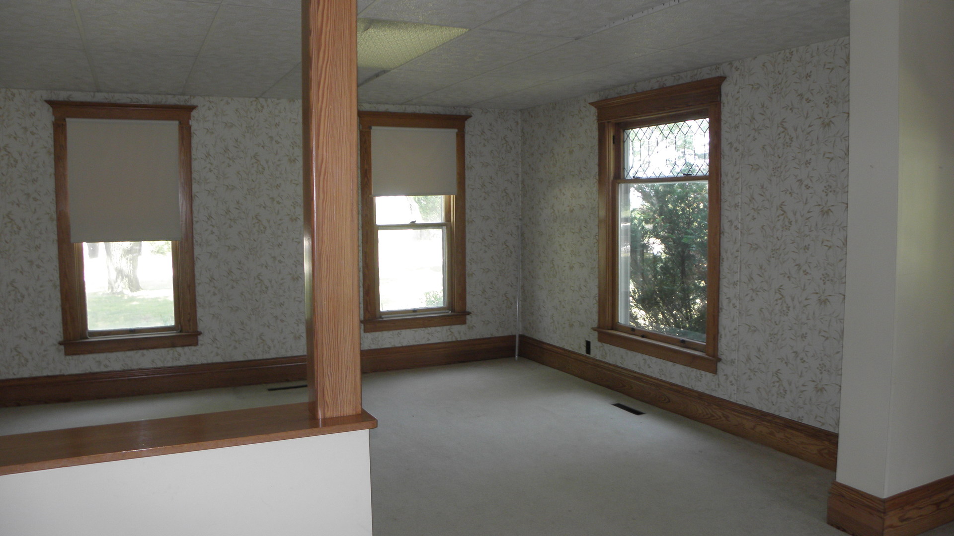 385 West Goodfarm Road Dwight, IL 60420 - Photo 9 of 22