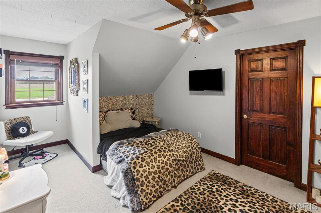 15856 Wendle Road Godfrey, IL 62035 - Photo 54 of 96 Gallery Image 54