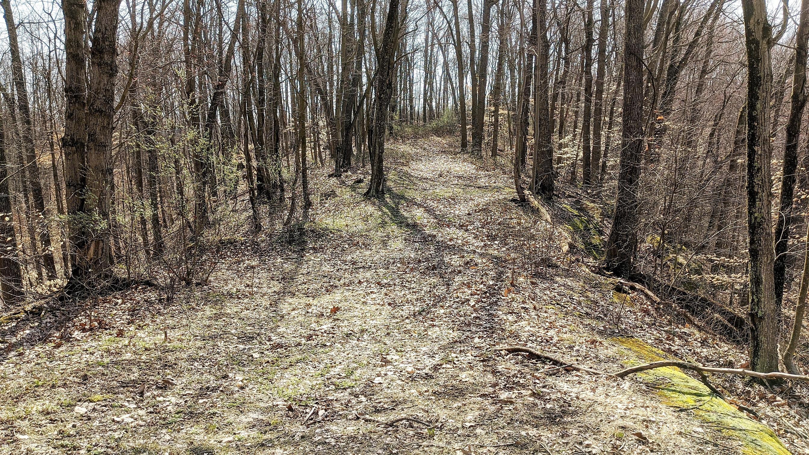 13264 Marietta Run Road Stewart, OH 45778 - Photo 11 of 50