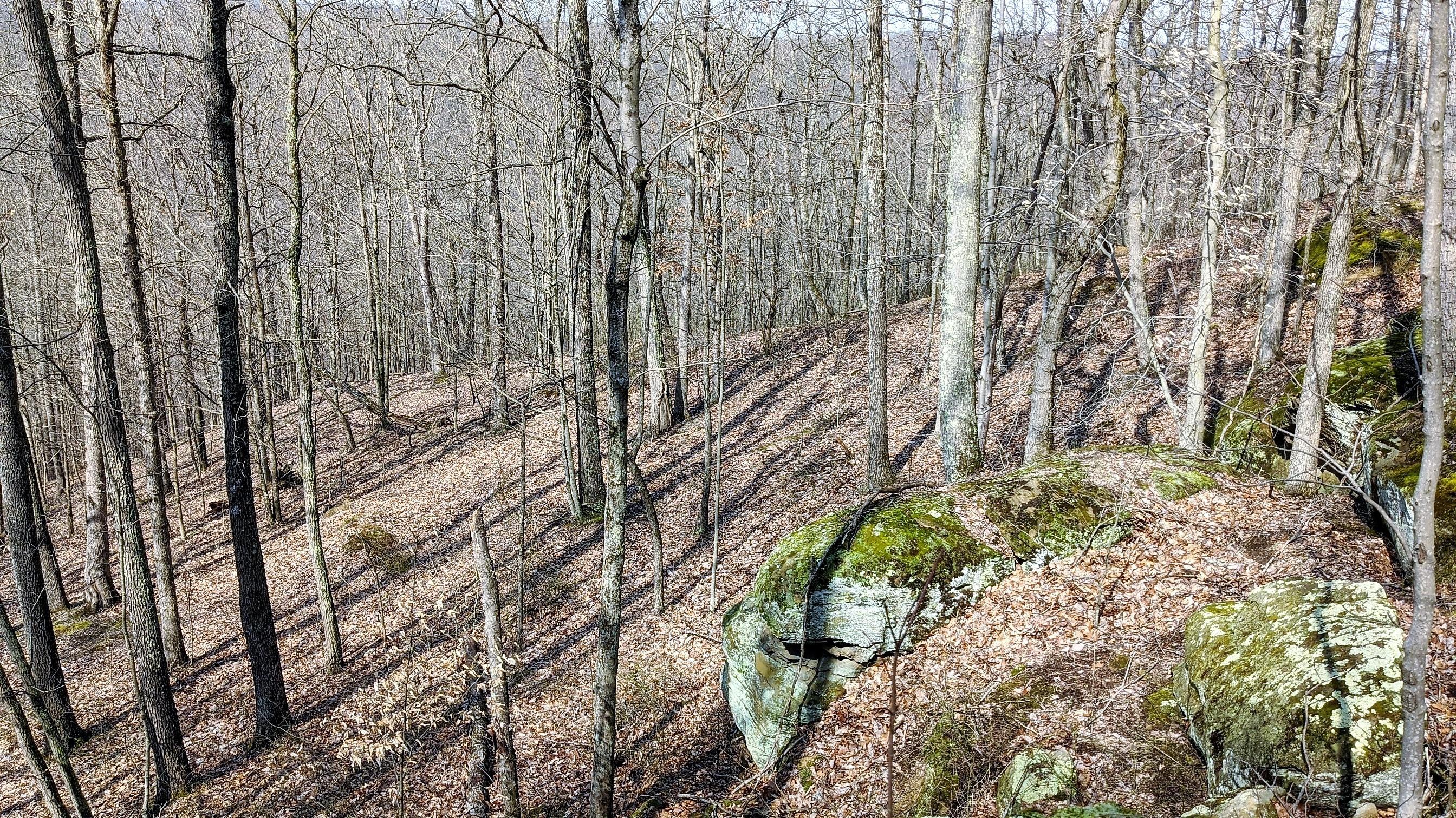 13264 Marietta Run Road Stewart, OH 45778 - Photo 13 of 50