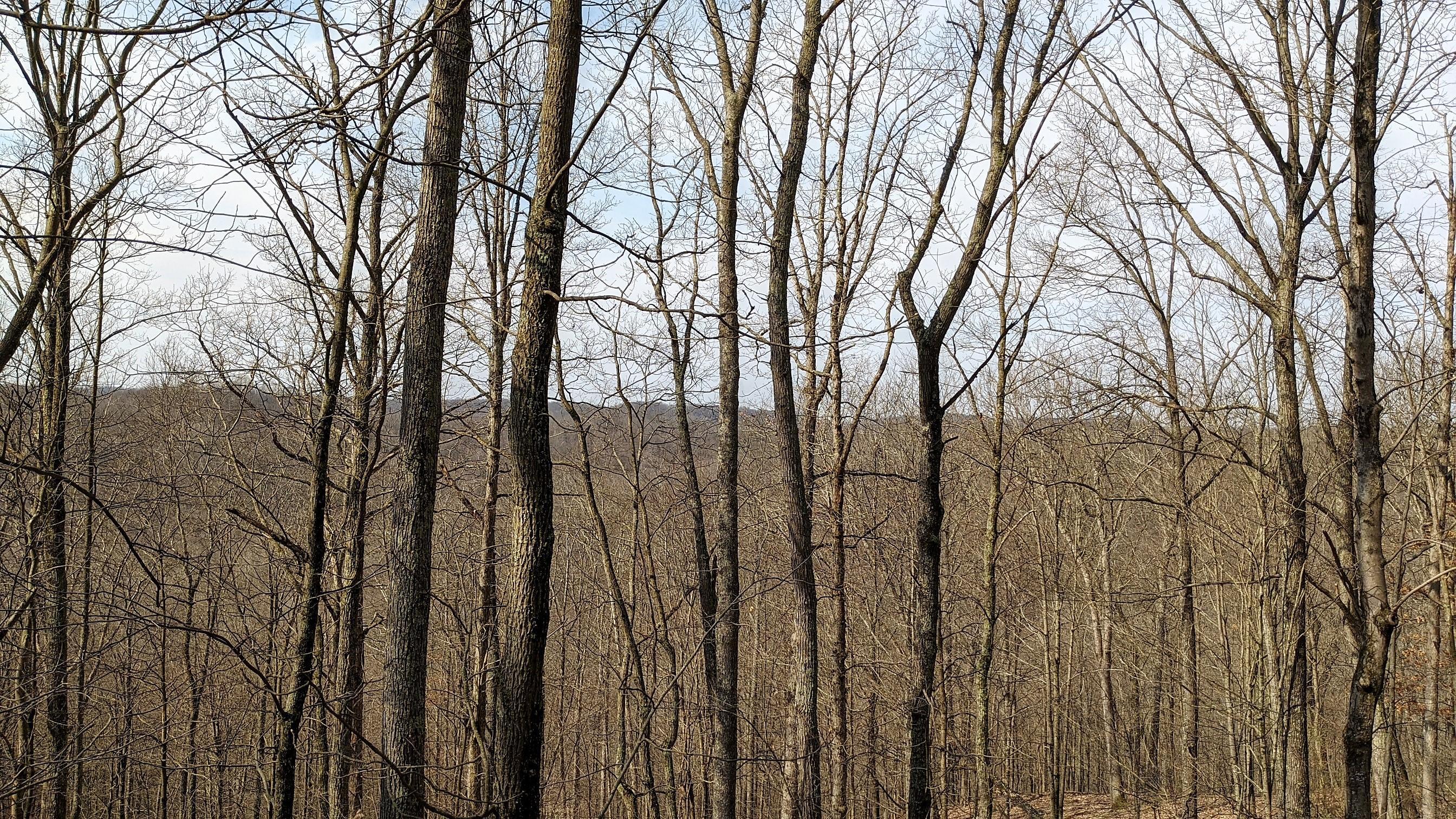13264 Marietta Run Road Stewart, OH 45778 - Photo 14 of 50