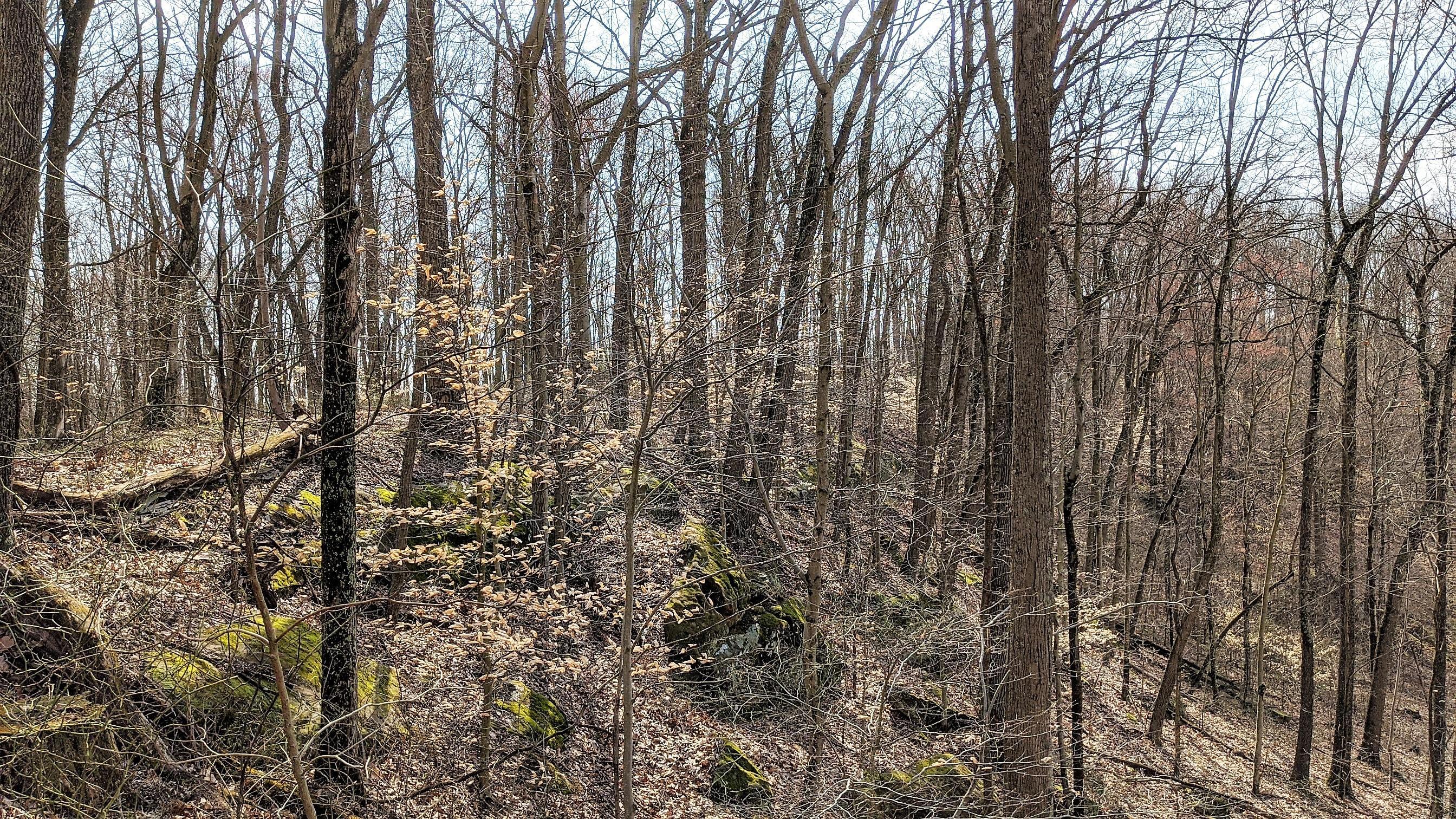 13264 Marietta Run Road Stewart, OH 45778 - Photo 15 of 50