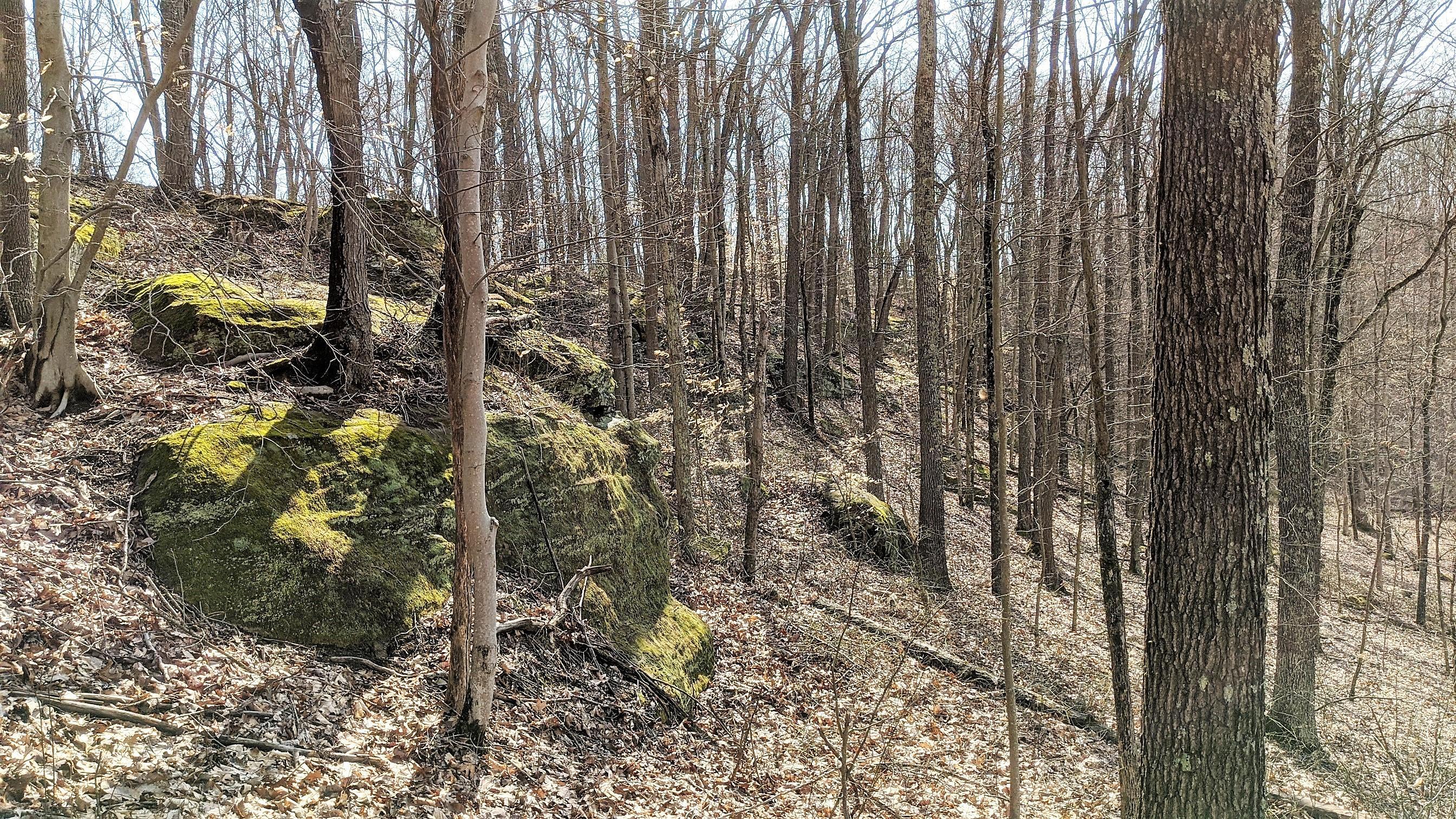 13264 Marietta Run Road Stewart, OH 45778 - Photo 17 of 50