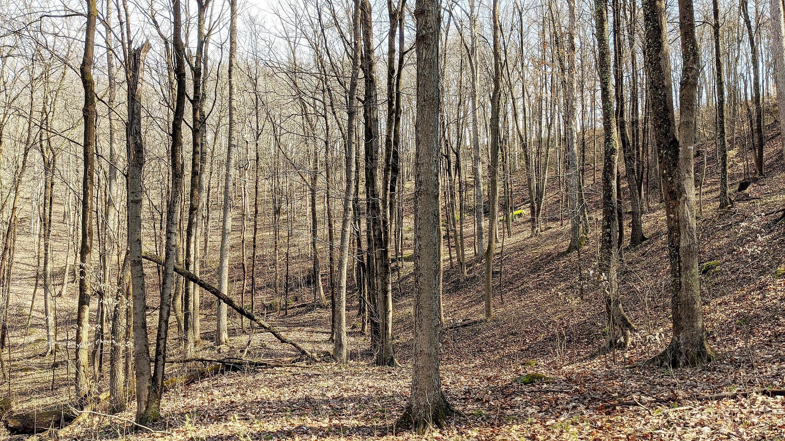 13264 Marietta Run Road Stewart, OH 45778 - Photo 2 of 50