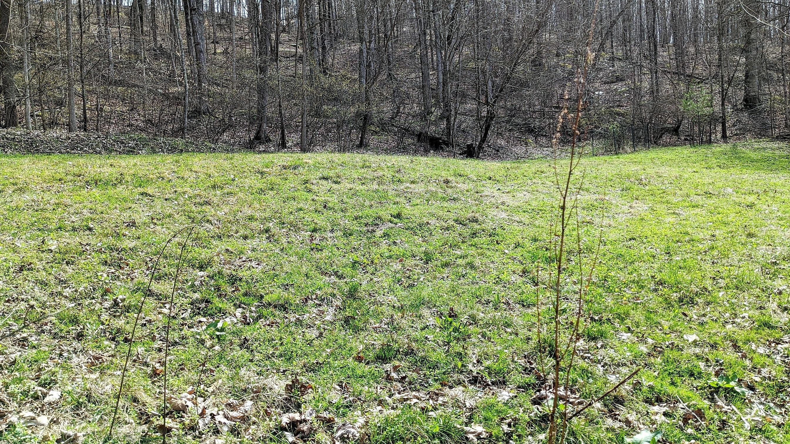13264 Marietta Run Road Stewart, OH 45778 - Photo 25 of 50