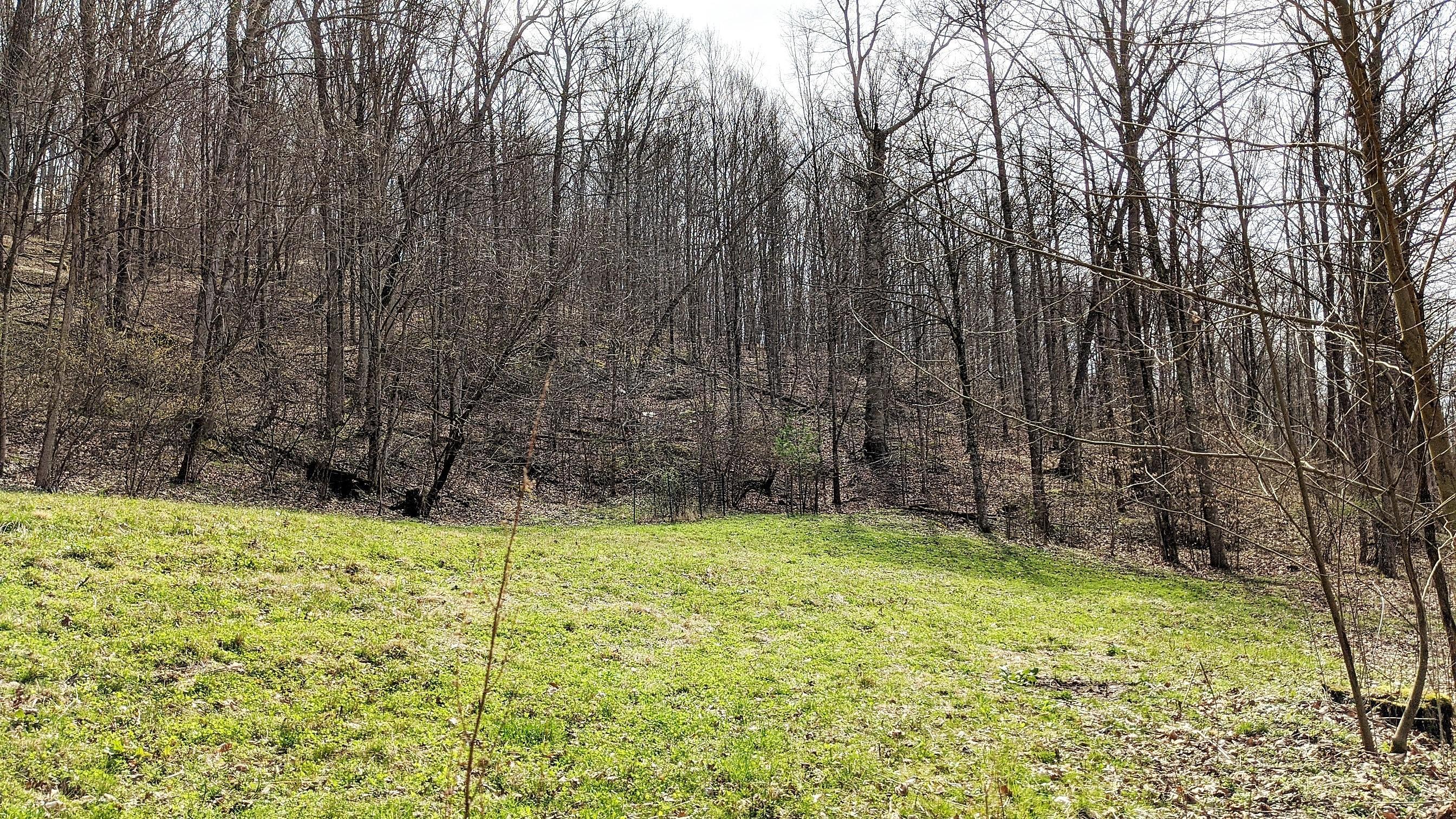 13264 Marietta Run Road Stewart, OH 45778 - Photo 26 of 50