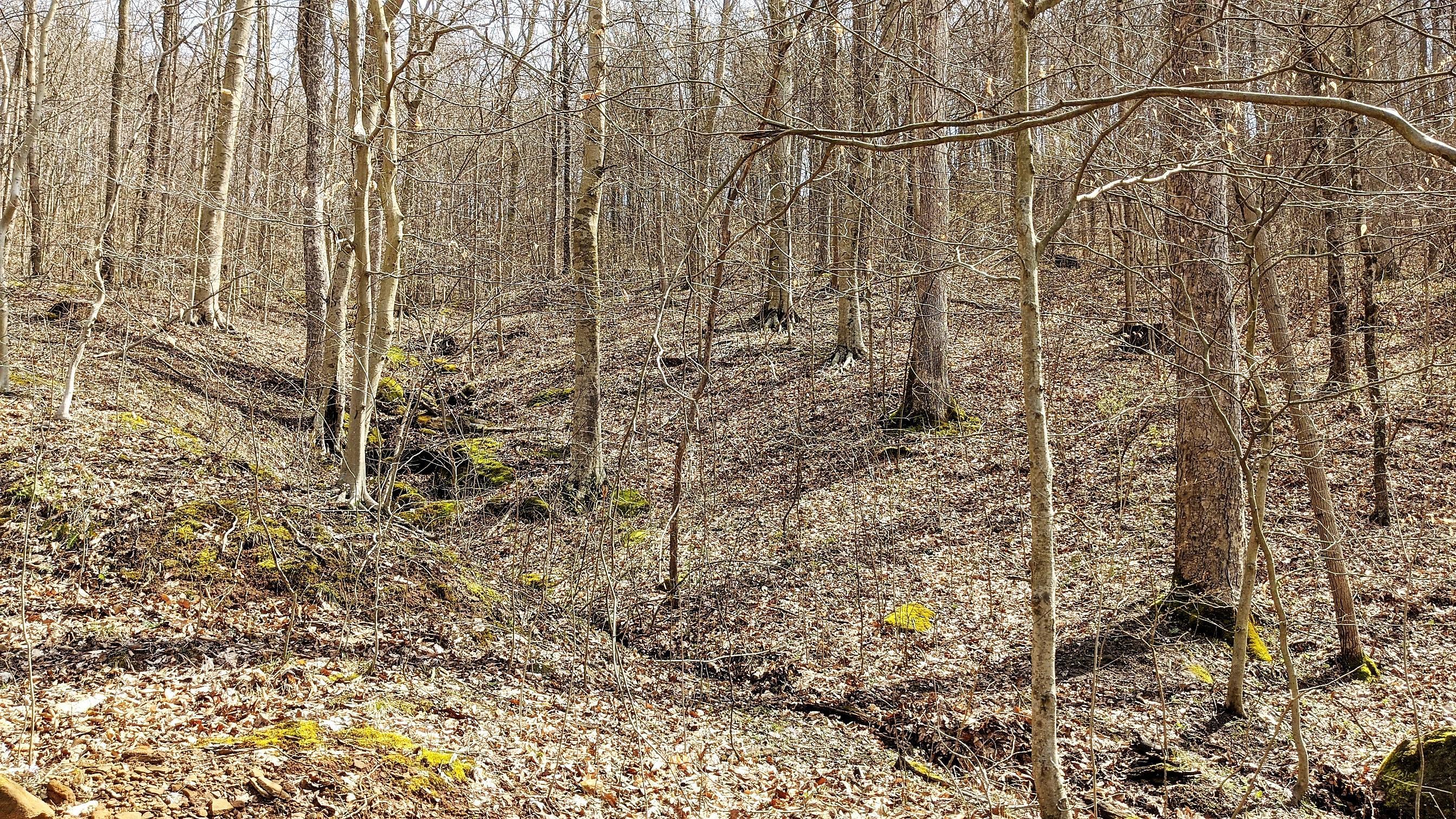 13264 Marietta Run Road Stewart, OH 45778 - Photo 29 of 50