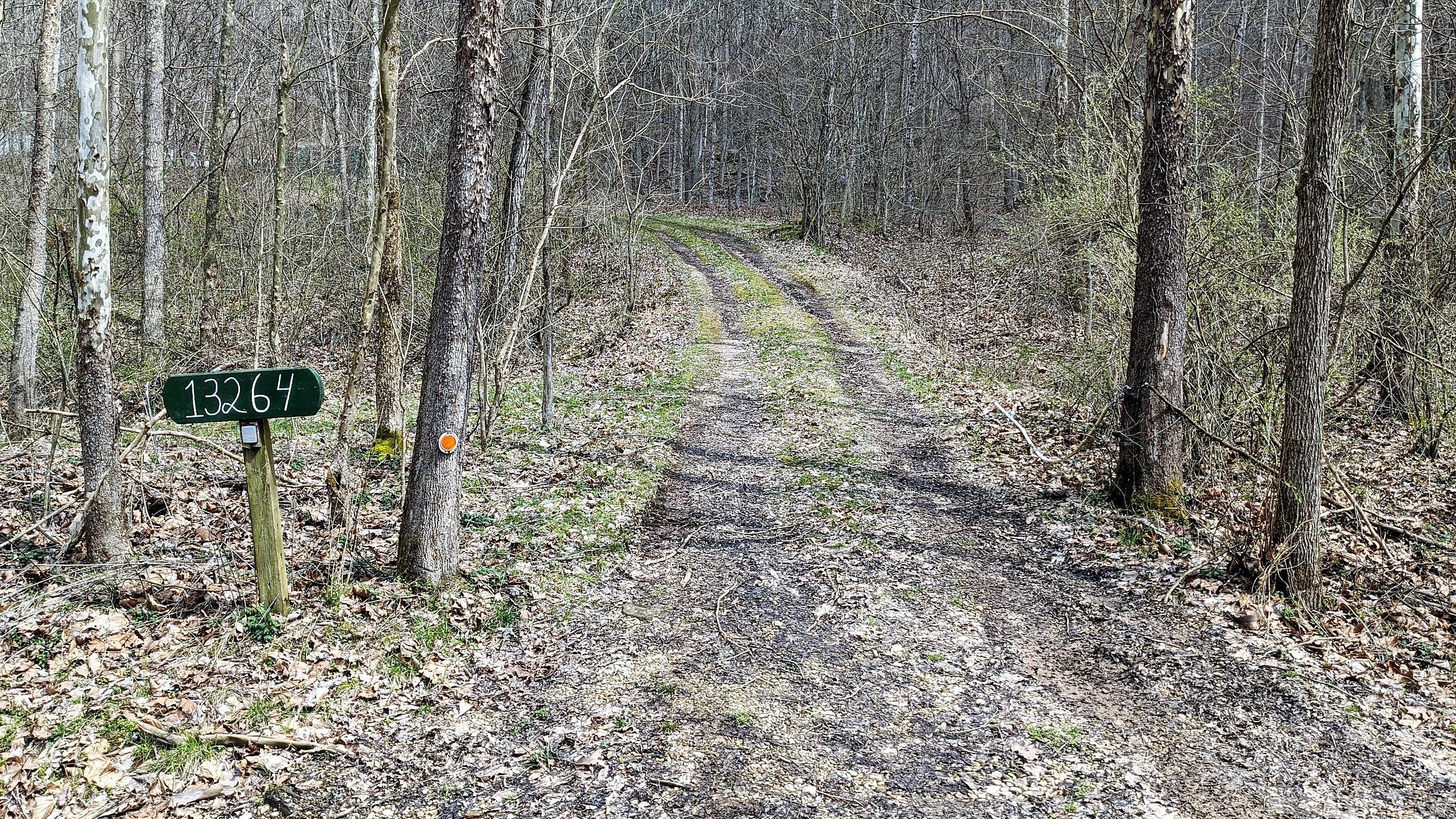 13264 Marietta Run Road Stewart, OH 45778 - Photo 42 of 50