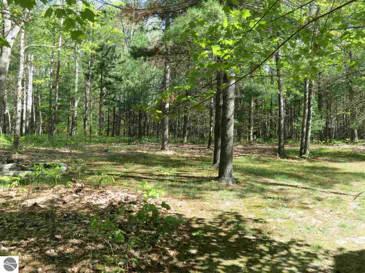 559 West Long Lake Road Traverse City, MI 49685 - Photo 20 of 23 1785157-19.JPG