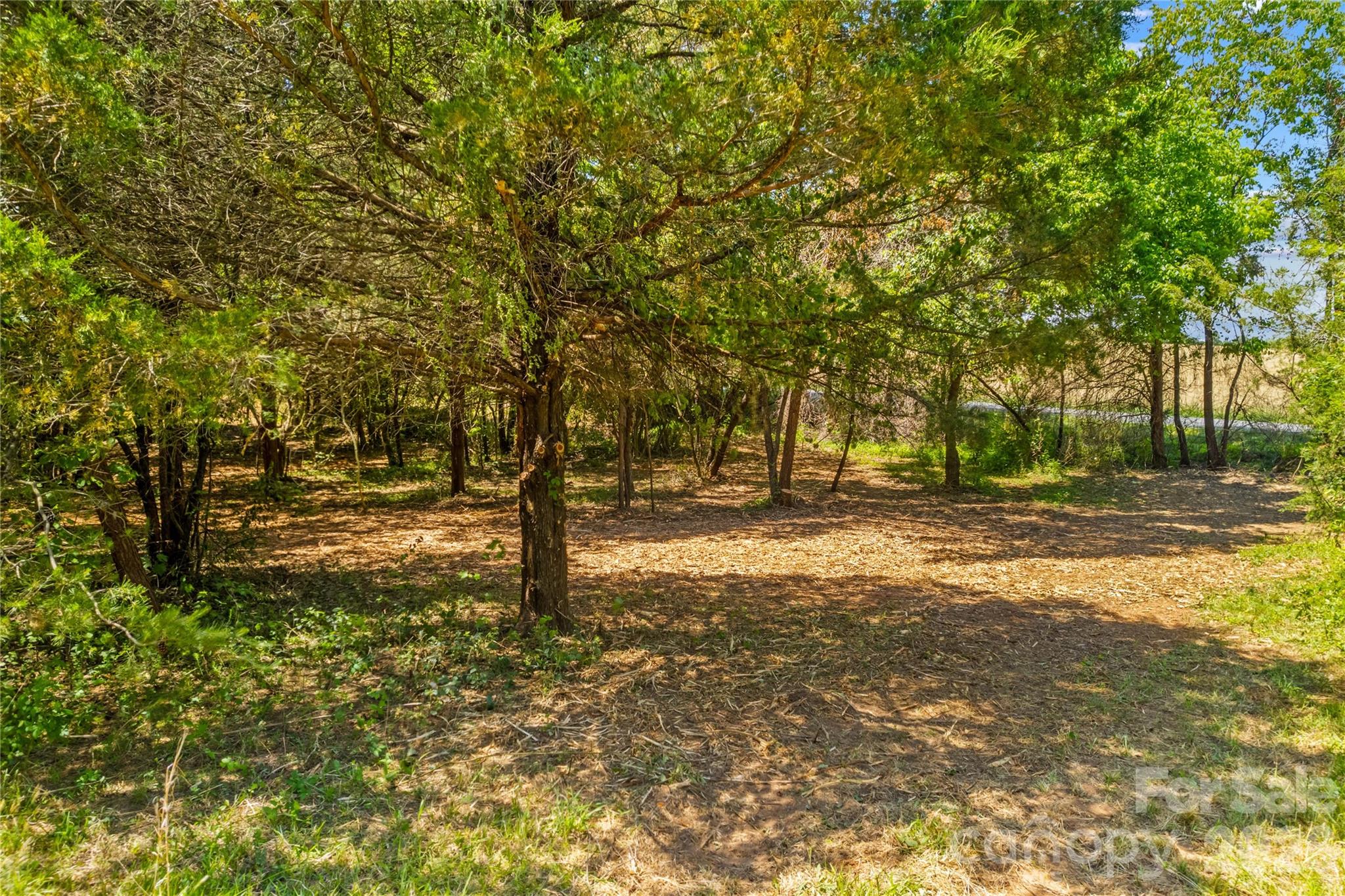 190 Sheffield Road Harmony, NC 28634 - Photo 11 of 13 a view of outdoor space with trees