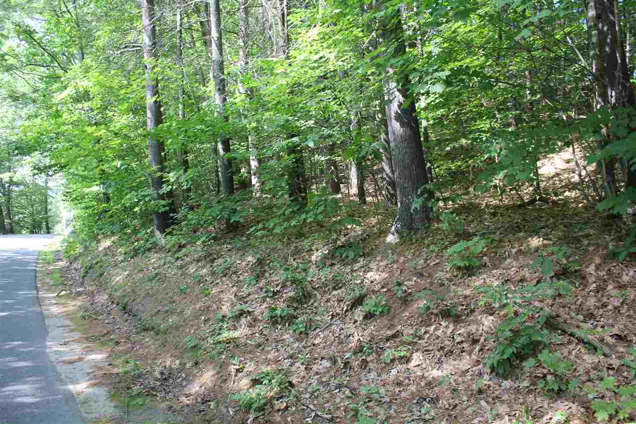 South Road Newbury, NH 03255 - Photo 2 of 6