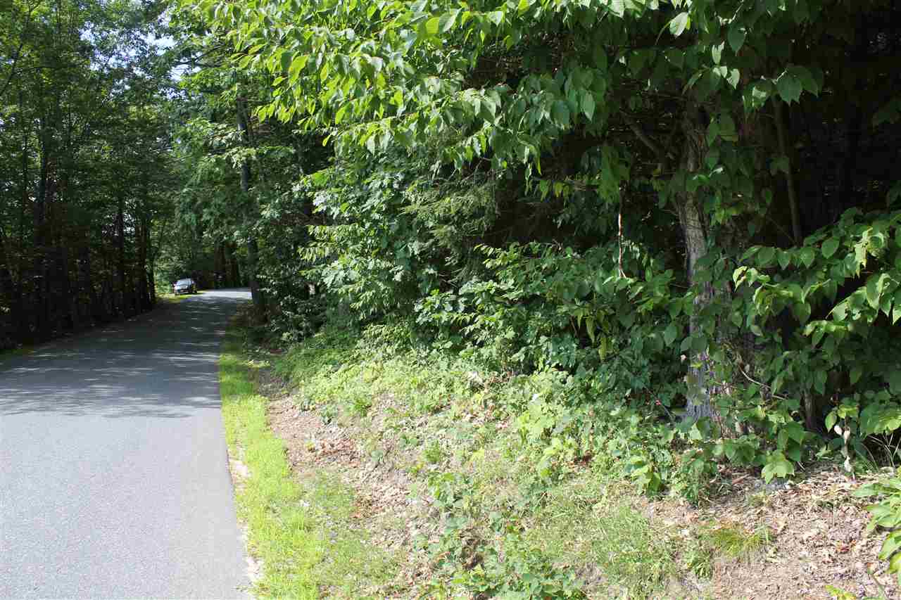 South Road Newbury, NH 03255 - Photo 3 of 6