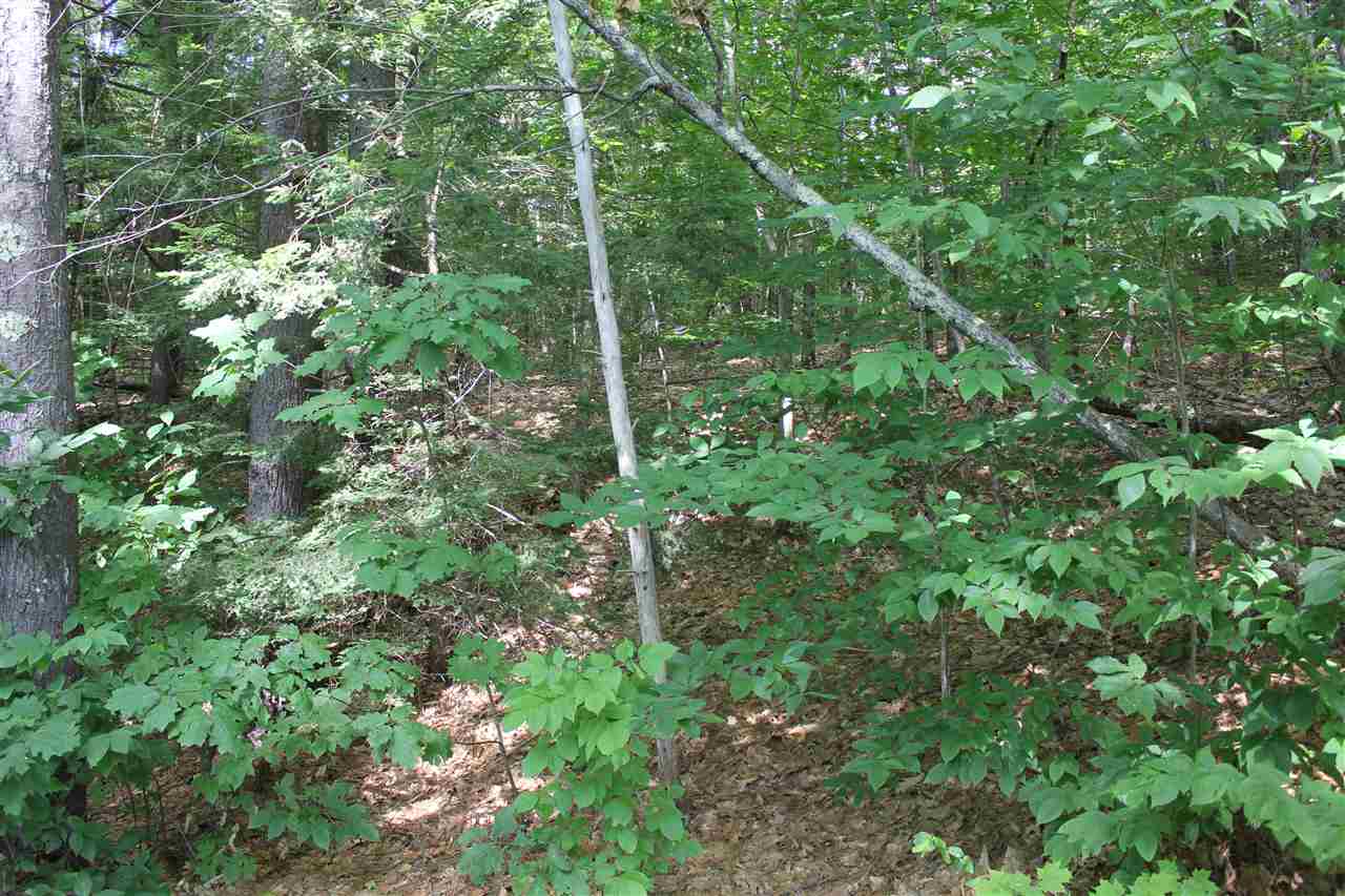 South Road Newbury, NH 03255 - Photo 4 of 6